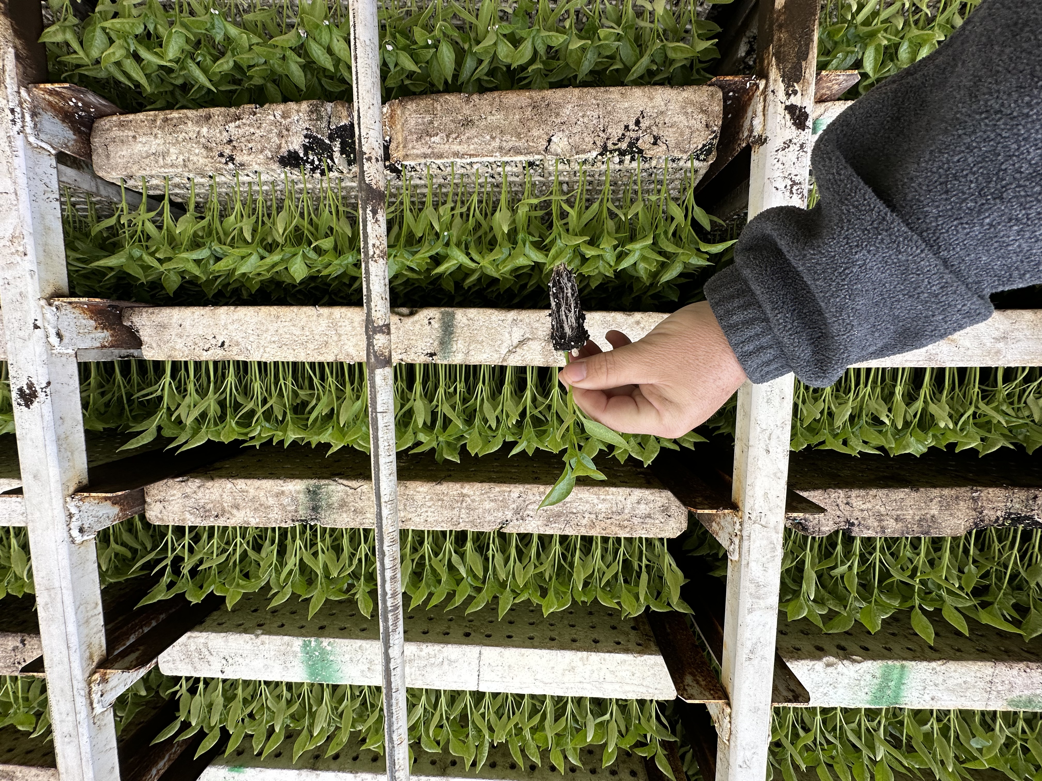 Photo of our plants and operations