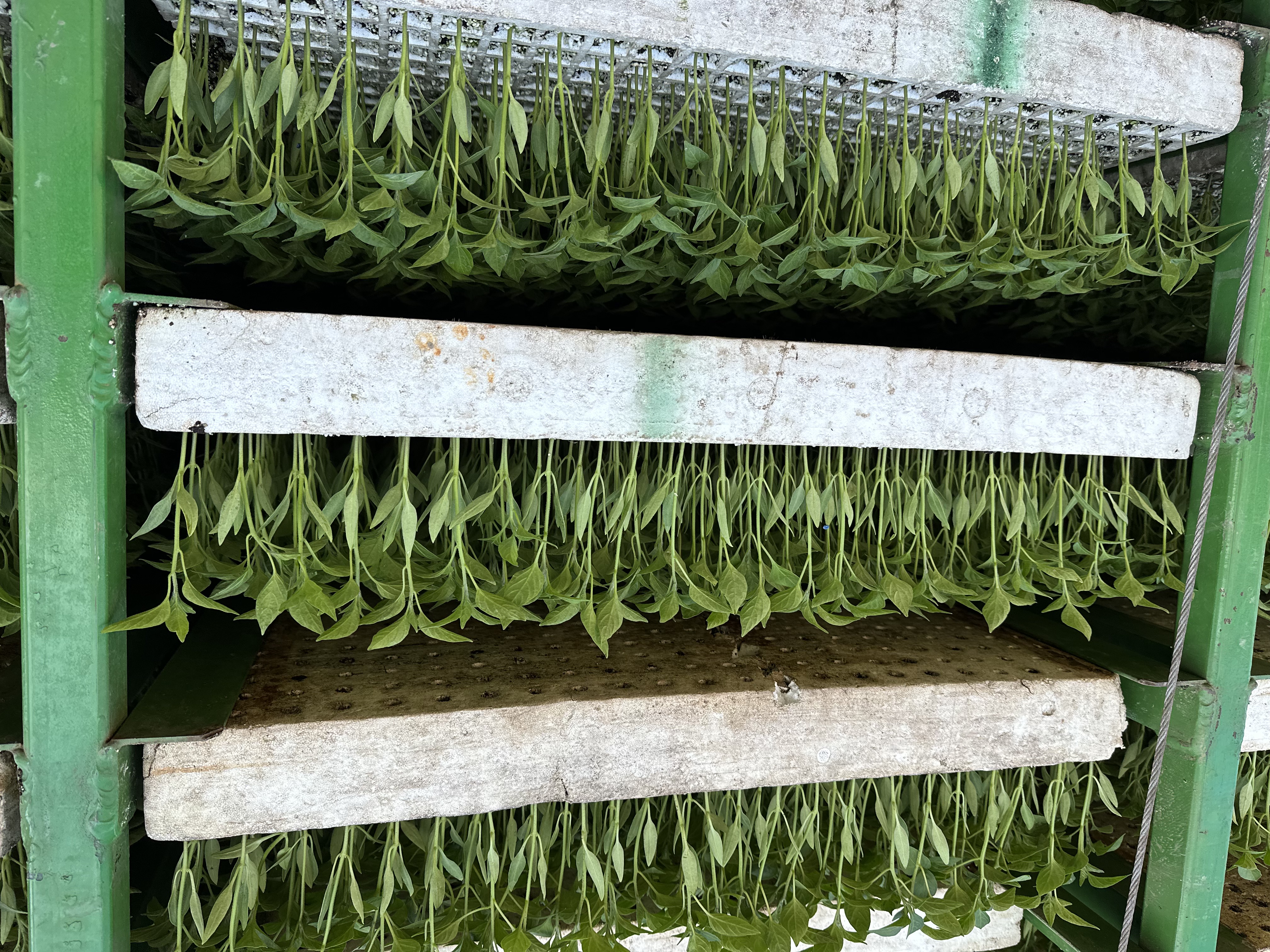 Photo of our plants and operations