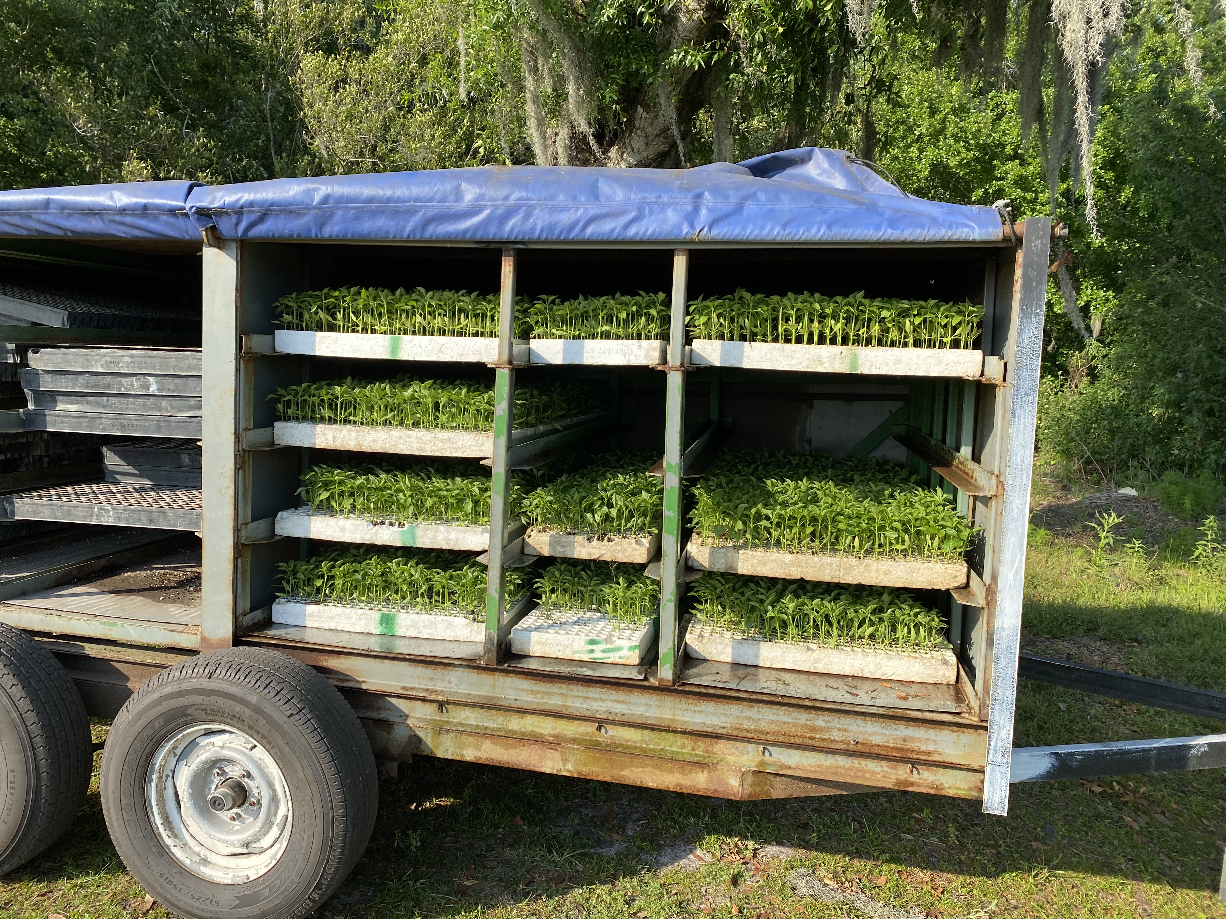 Photo of our plants and operations