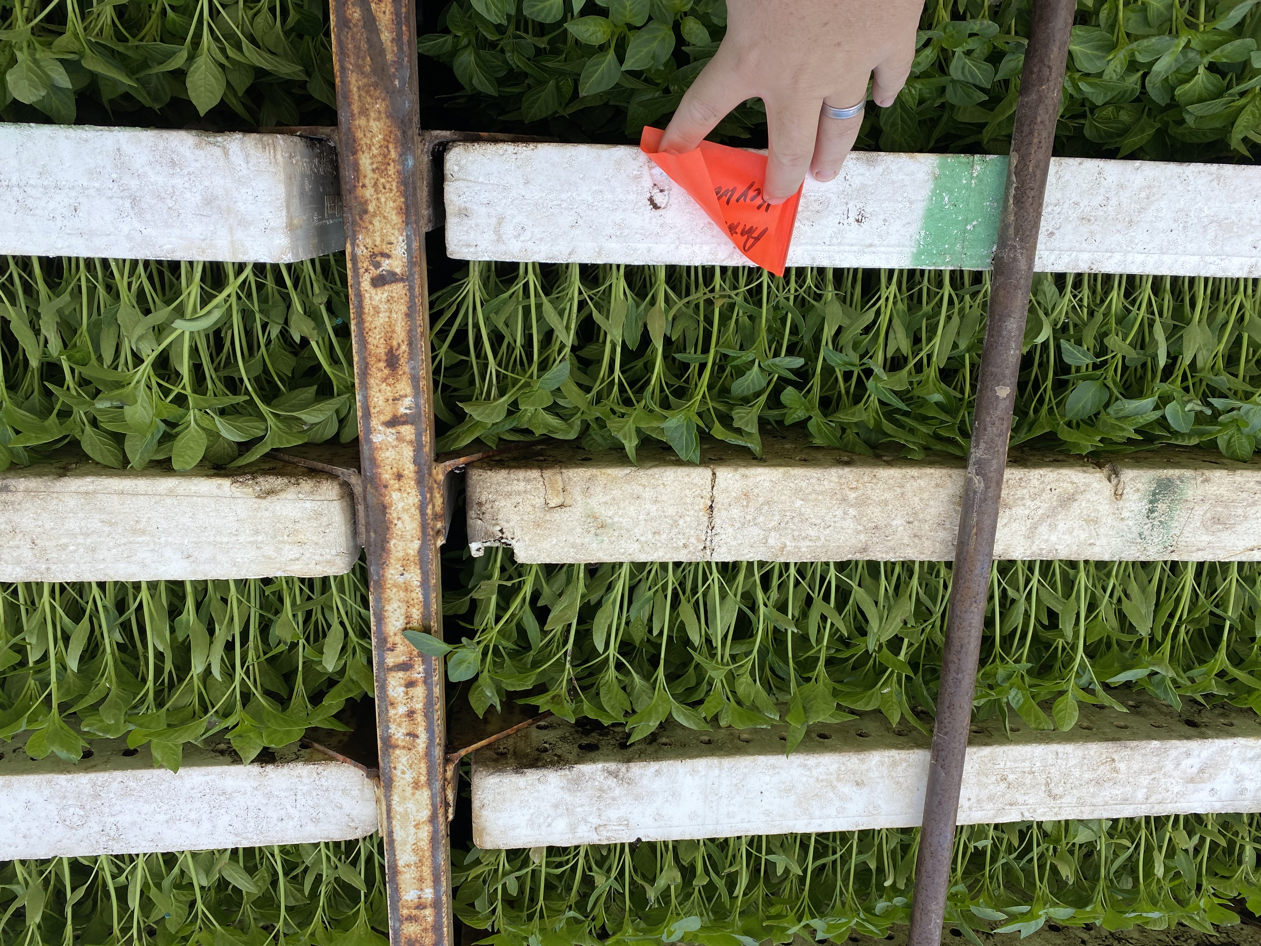 Photo of our plants and operations